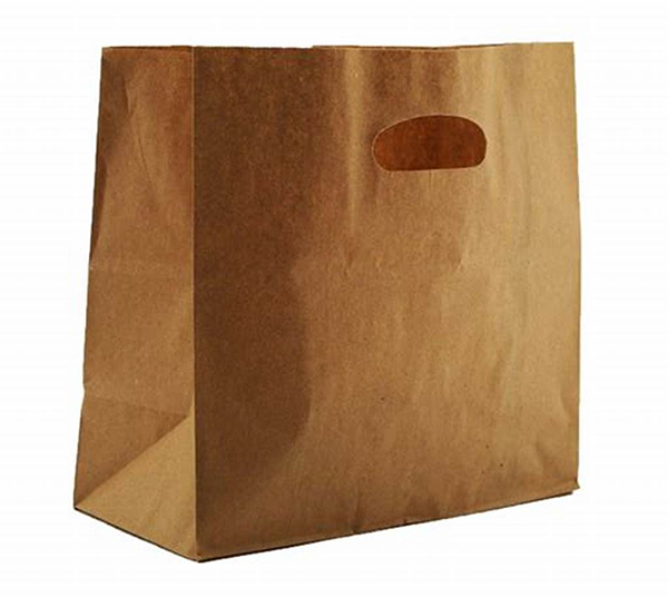25-recycled paper bags