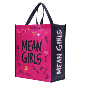 Promotional Pp Non Woven Bag Recyclable Carry Bag Non Woven Fabric Shopping Bag
