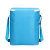 Factory Manufacture Various cheap food insulated cooler lunch bag