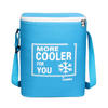 Factory Manufacture Various cheap food insulated cooler lunch bag