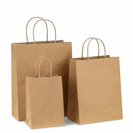 22-paper bag.jpg