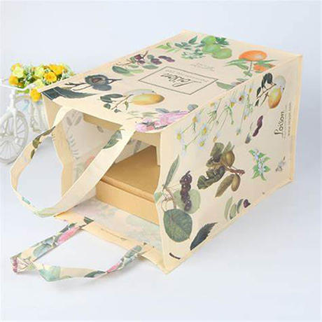 47-1-laminated nonwoven bag.jpg