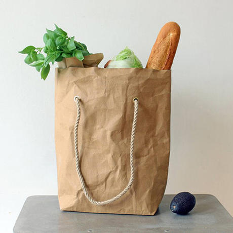 55-1-paper grocery bags.jpg