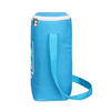 Factory Manufacture Various cheap food insulated cooler lunch bag
