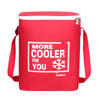 Factory Manufacture Various cheap food insulated cooler lunch bag