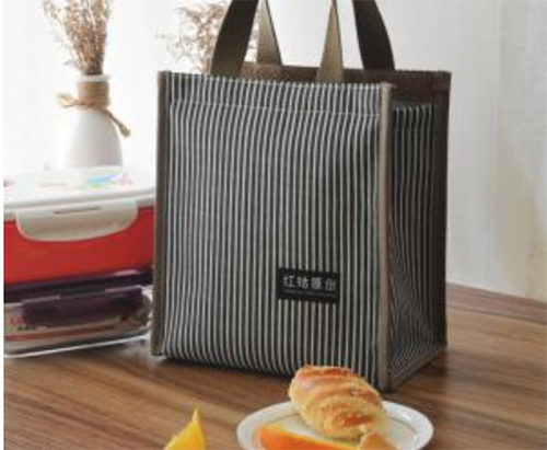 2-1 collapsible cooler bag