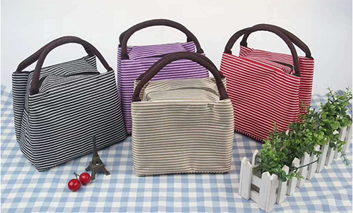 3-1 insulated beach bag