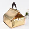 Custom logo printed glossy cooler bag/insulated cooler bag/reusable cooler bag